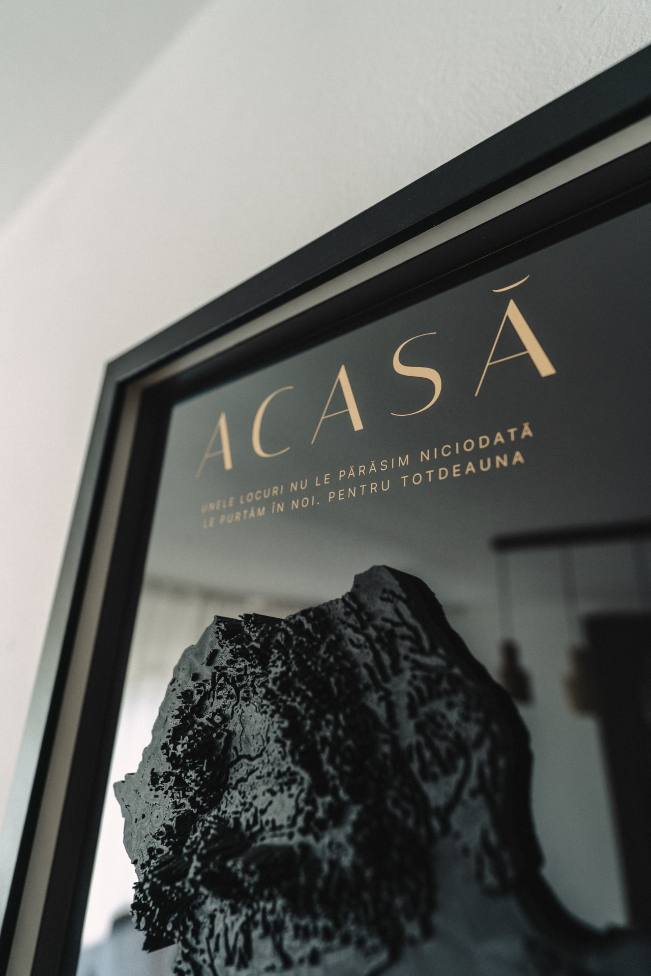 Gold ACASĂ lettering detail on matte black poster
